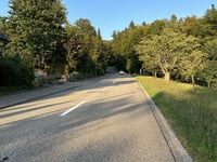 Munihubel von Zofingen