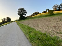 Bergstrasse von Moosersagi