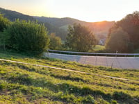 Bergstrasse von Moosersagi