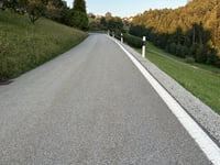 Bergstrasse von Moosersagi