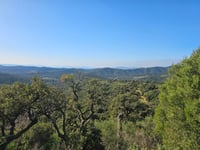 Route Forestière des Crêtes von Col du Caguo Ven