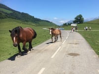 Col de Marie-Blanque da Bielle