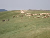 Paso Tapla von Otxagabia