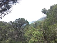 La Dona Espenyada desde Sant Feliu de Guíxols