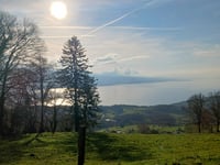 Mont Pelerin depuis Cardonne