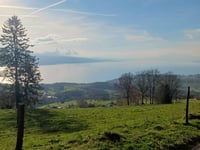 Mont Pelerin depuis Cardonne