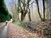 Les Fléchers desde Route de Vailly