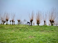 Côte des Monts Damnés