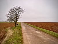 Rue de Graveron