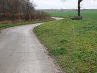 Vogelzang über Putherweg