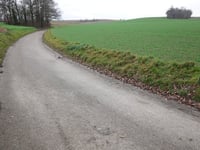 Vogelzang über Putherweg