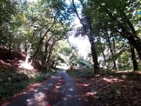 Strada Comunale dell'Agogna da Brovello