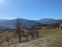 Valico di Monte Pelizzone da Bardi via Berlini
