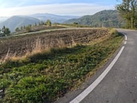 Pometo