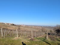 Vicobarone da Case Negrese