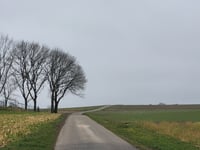 Misweg über Greyertweg