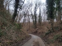 Grubbenweg von Nagelbeek