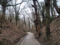 Grubbenweg von Nagelbeek