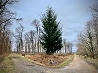 Route d'Allogny