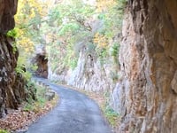 Fontanes de Sault
