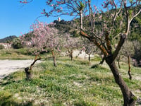 Puerto de Benifàllim über Benifàllim