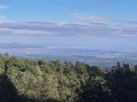 Els Àngels von Girona