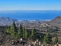 El Teide