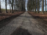 Rue de Hodoumont from Château de Hodoumont