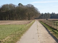 Oude Eltenseweg von Stokkum