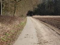 Oude Eltenseweg von Stokkum