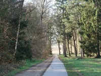 Oude Eltenseweg von Stokkum