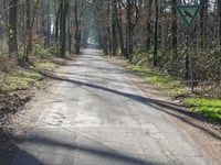 Hohe Heide