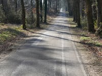 Hohe Heide