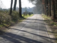 Hohe Heide