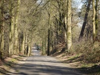Hohe Heide