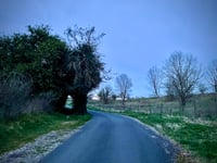 Chemin du Tertre du Billeux