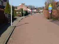 Hoge Distel par Plantsoensingel Noord