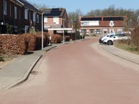 Hoge Distel via Plantsoensingel Noord