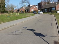 Hoge Distel par Maria van Nassaulaan