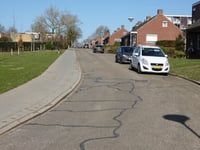 Hoge Distel via Maria van Nassaulaan