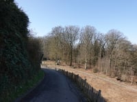 Motte van Montferland