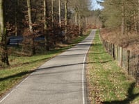 Rijsberg depuis Zeddam