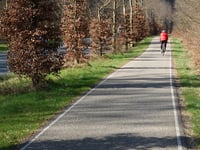 Rijsberg depuis Zeddam