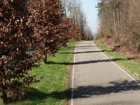 Rijsberg depuis Zeddam