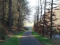 Rijsberg z Beek