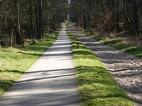 Jutberg über Plaggenweg