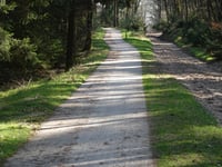 Jutberg über Plaggenweg