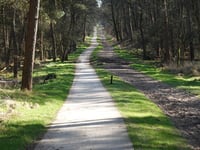 Jutberg über Plaggenweg