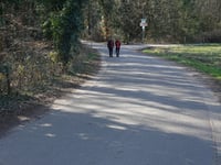 Jutberg über Weg langs de Heesch