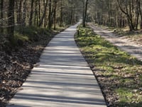 Jutberg über Weg langs de Heesch